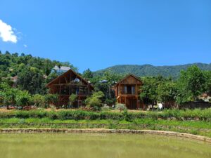 thi công nhà gỗ homestay